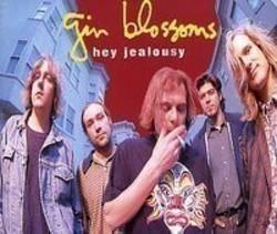 Слушать онлайн Gin Blossoms Hey jealousy из сборника Музыка для бега, скачать бесплатно.