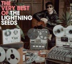 Песня The Lightning Seeds You Showed Me (Austin Powers) - слушать онлайн.