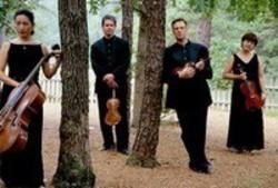 Кроме песен Денис Мусаев, можно слушать онлайн бесплатно String Tribute Players.