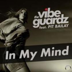 Песня The Vibeguardz In My Mind (Selecta Remix Edit) (feat. Pit Bailay) - слушать онлайн.