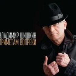 Кроме песен Приключения Электроников, можно слушать онлайн бесплатно Владимир Шишкин.