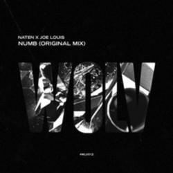Песня Naten Numb (Original Mix) (Feat. Joe Louis) - слушать онлайн.