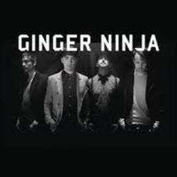 Песня Ginger Ninja Sunshine - слушать онлайн.