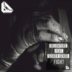 Песня Delighters Fight (Thomx & T.L.A. Remix) (Feat. Szeker Gergo) - слушать онлайн.