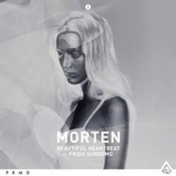 Кроме песен DJ Fait, можно слушать онлайн бесплатно Morten.