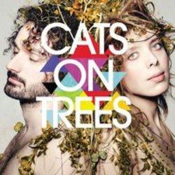 Кроме песен Jaymes Young, можно слушать онлайн бесплатно Cats On Tree.