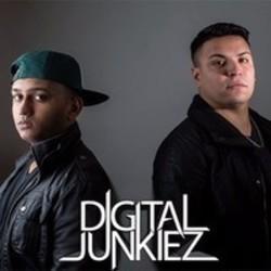 Кроме песен Havana Project, можно слушать онлайн бесплатно Digital Junkiez.