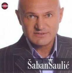 Песня Saban Saulic Sve na svoje - слушать онлайн.