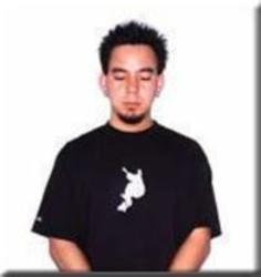 Интересные факты, Dj Vice &amp; Mike Shinoda биография